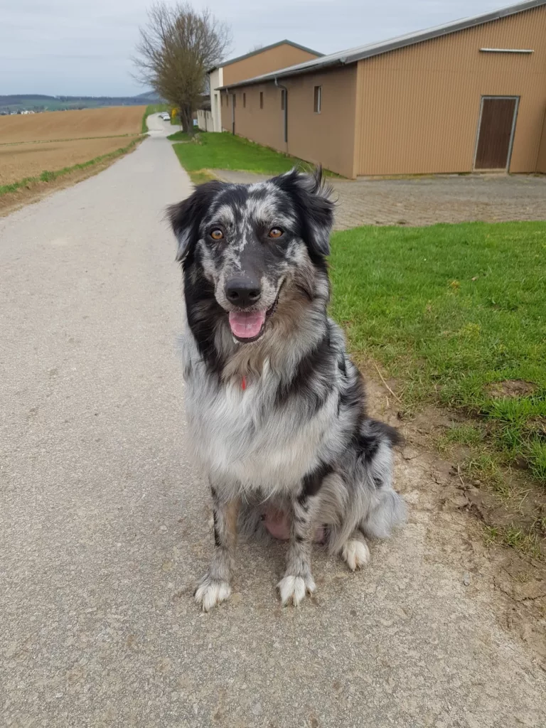Maja auf einem Spaziergang
