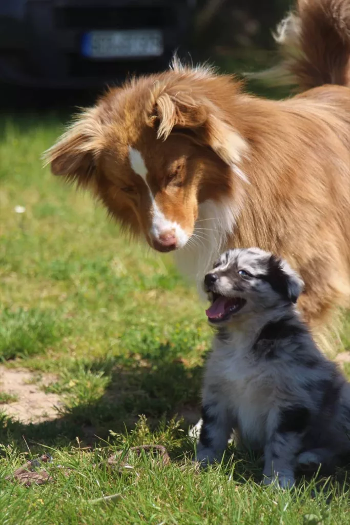 Finn und Maja