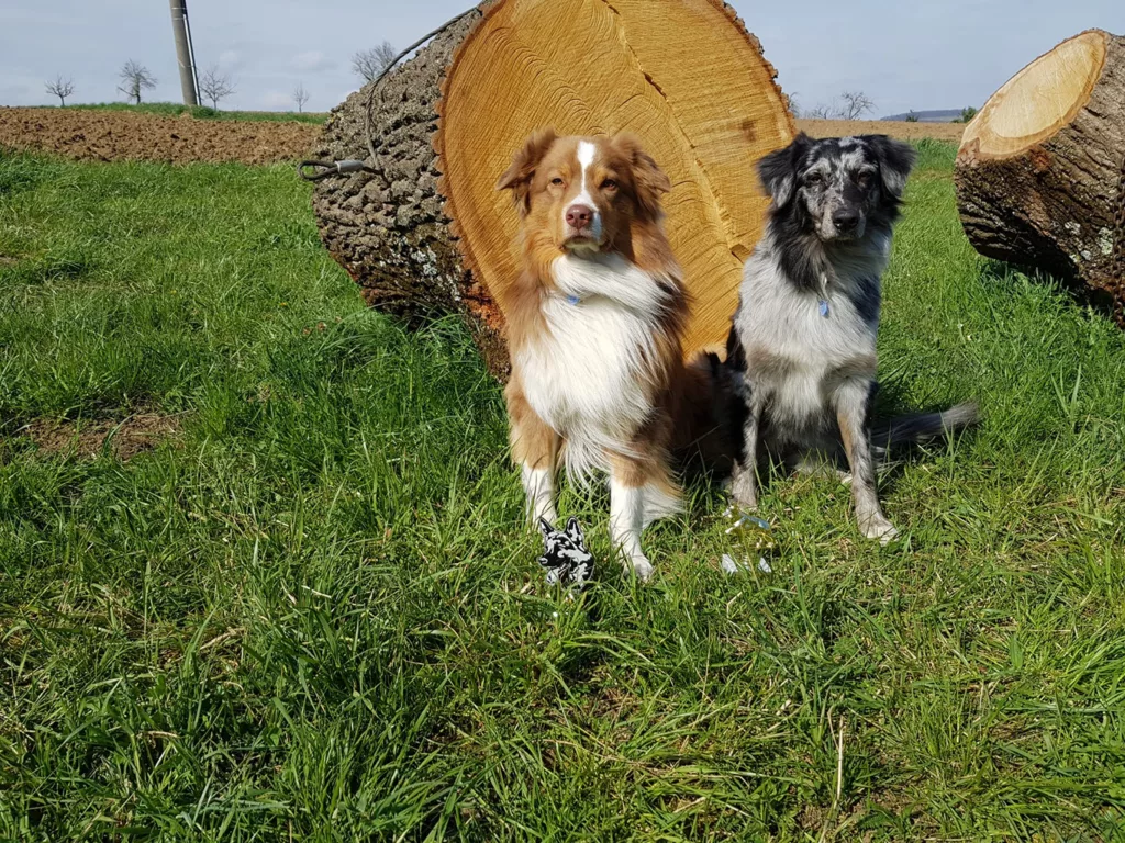 Finn und Maja